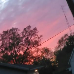 Meet your Posher, Charity